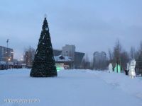 Ялинка у центрі міста